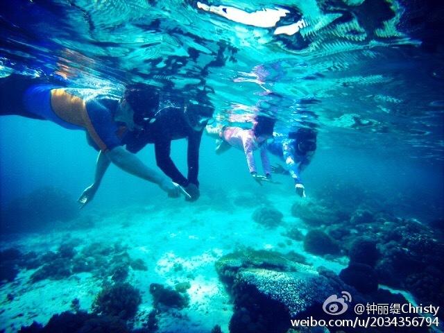 塞伯利亚之谜3